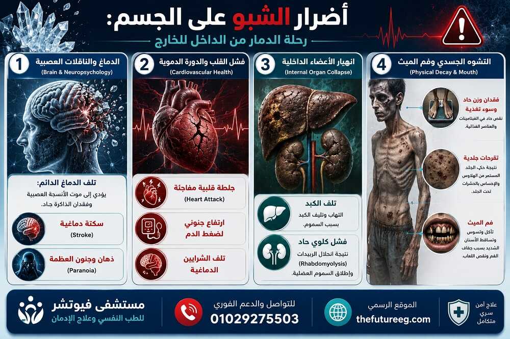 إنفوجرافيك طبي تفصيلي يوضح مقارنة علمية بين الشبو والآيس، يغطي التكوين الكيميائي، الأشكال، المخاطر الصحية، وطرق العلاج.