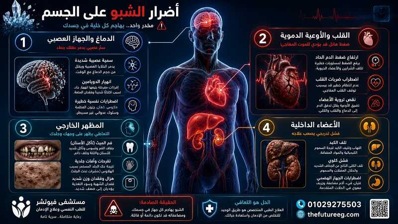 انفوجرافيك تاثير الشبو علي الجسم