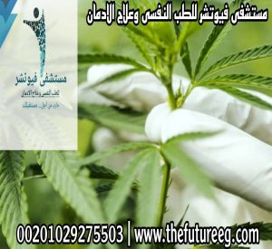 تأثير الماريجوانا على الجهاز العصبي