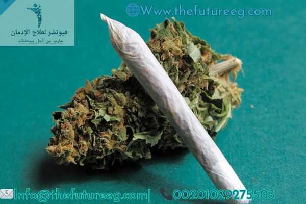 مخاطر استخدام الحشيش