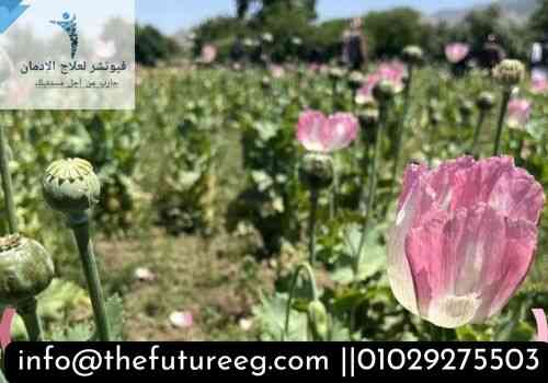 أعراض إدمان الأفيون