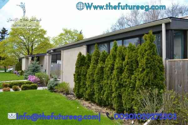 اختيار مصحة علاج إدمان المخدرات