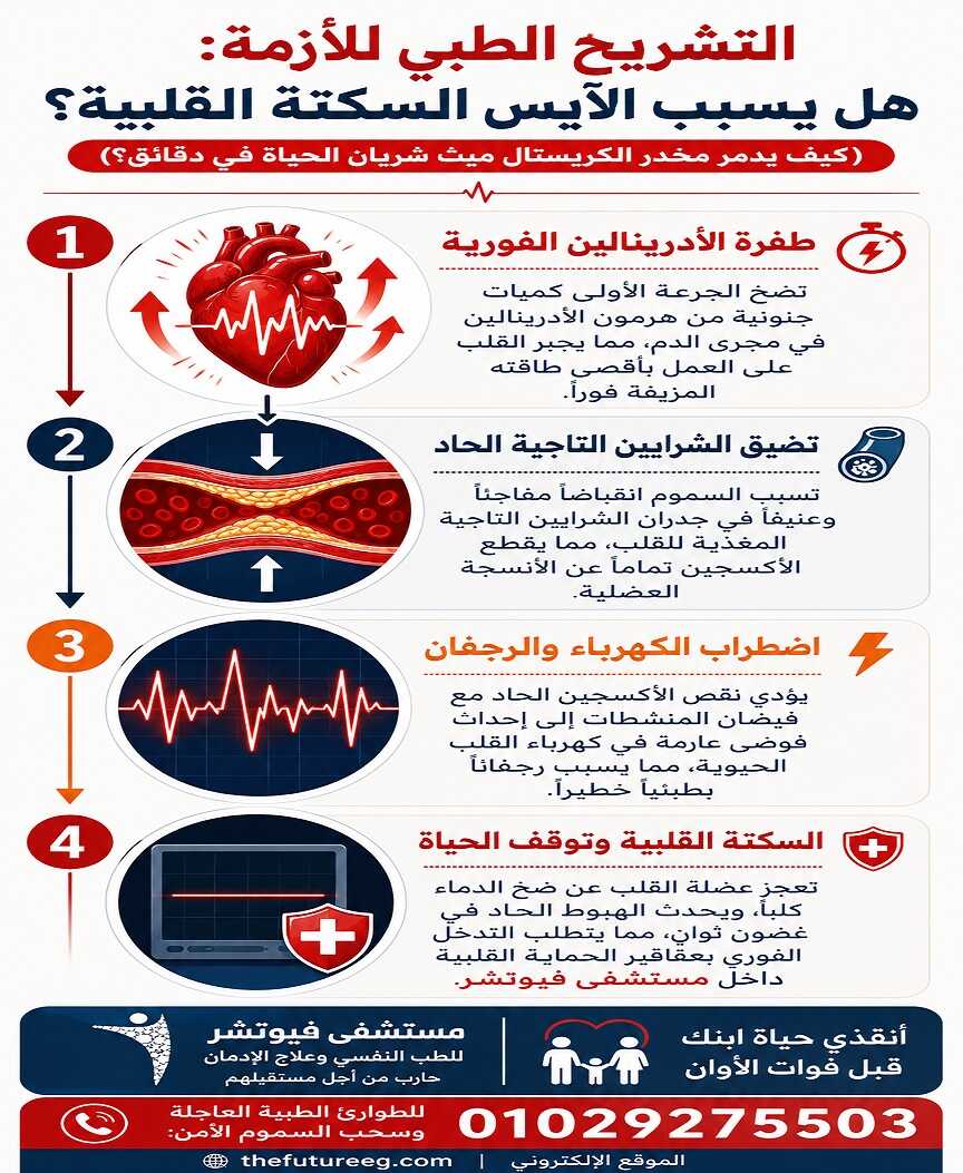 إنفوجرافيك طبي يشرح الآليات الحيوية الأربع للإجابة عن سؤال: هل يسبب الآيس السكتة القلبية، بدءاً من طفرة الأدرينالين وحتى توقف عضلة القلب.