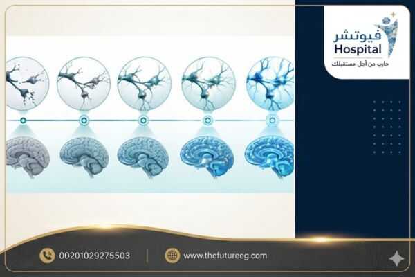 مراحل التعافي من الشبو وفقدان الذاكرة عبر الزمن